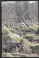 Iron(?) age graves, Tinnerö