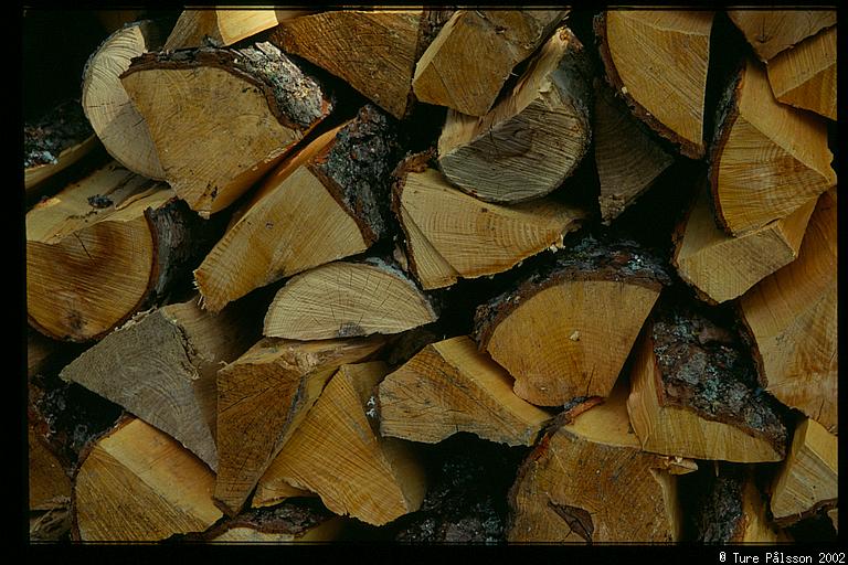 Firewood