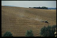 Tractor in field