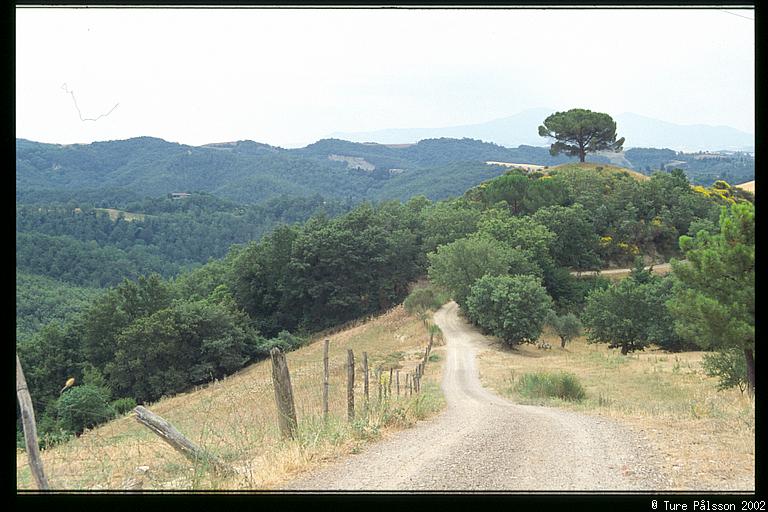 Downhill road