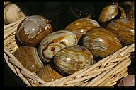 Alabaster eggs, San Gimignano