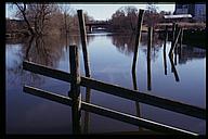 Reflections in water