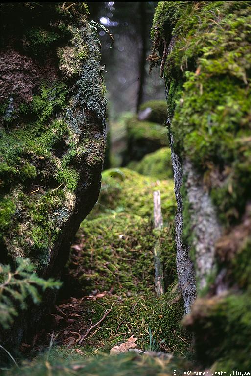 Between the rocks, small DOF