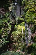 Between the rocks, small DOF