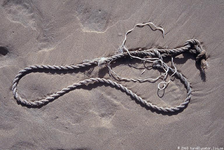 Rope in the sand