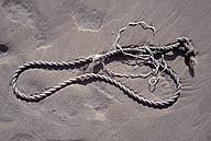 Rope in the sand