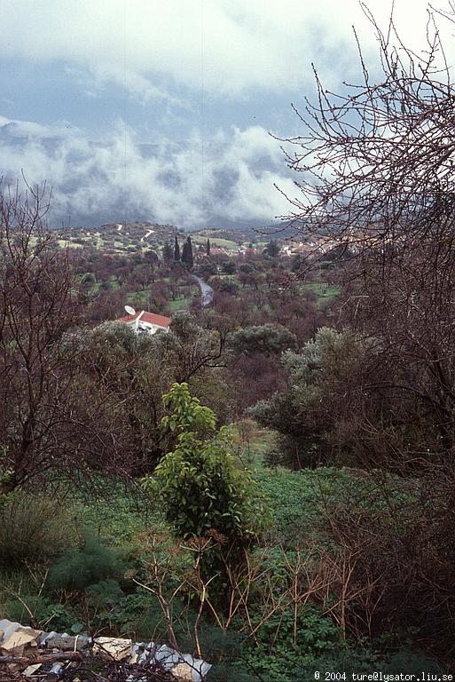 View, Lefkara